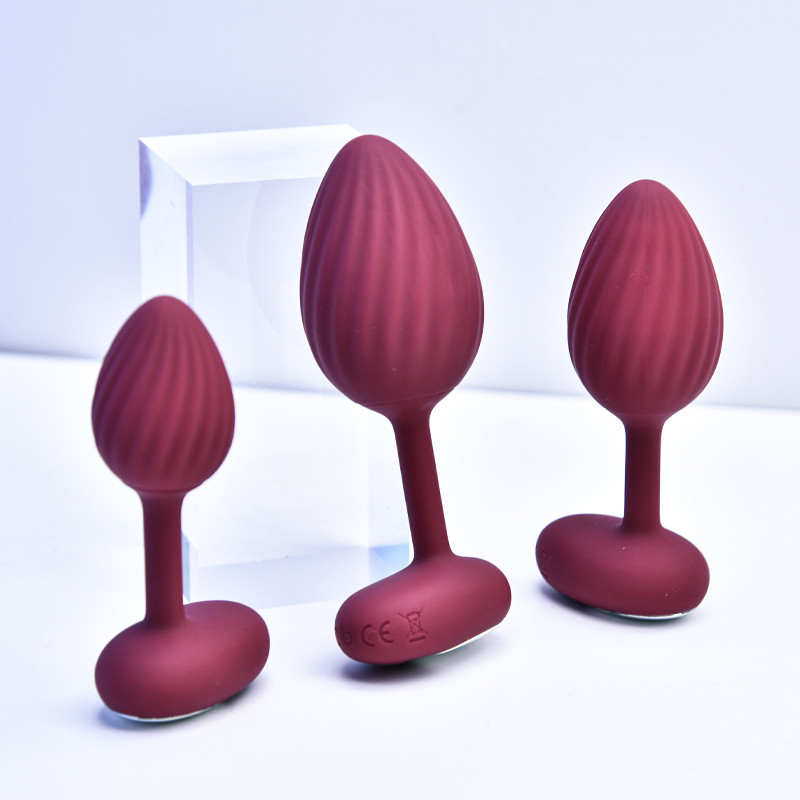 10 Patterns Vibrating Silicone Butt Plug Remote Control Butt Plug IPX7 DF957